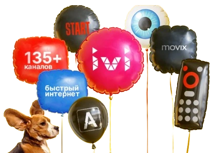 Услуги Дом.ру в селе Заборье